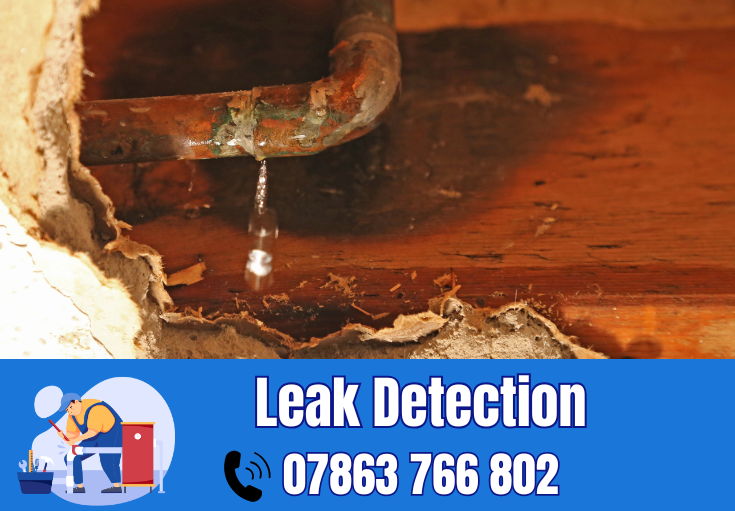 leak detection Stockton Heath